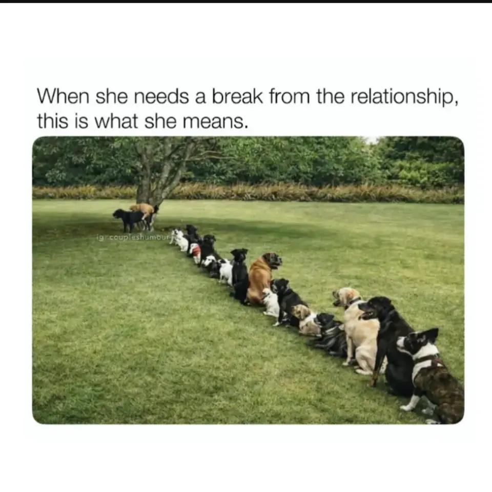 @WiFi Puppy