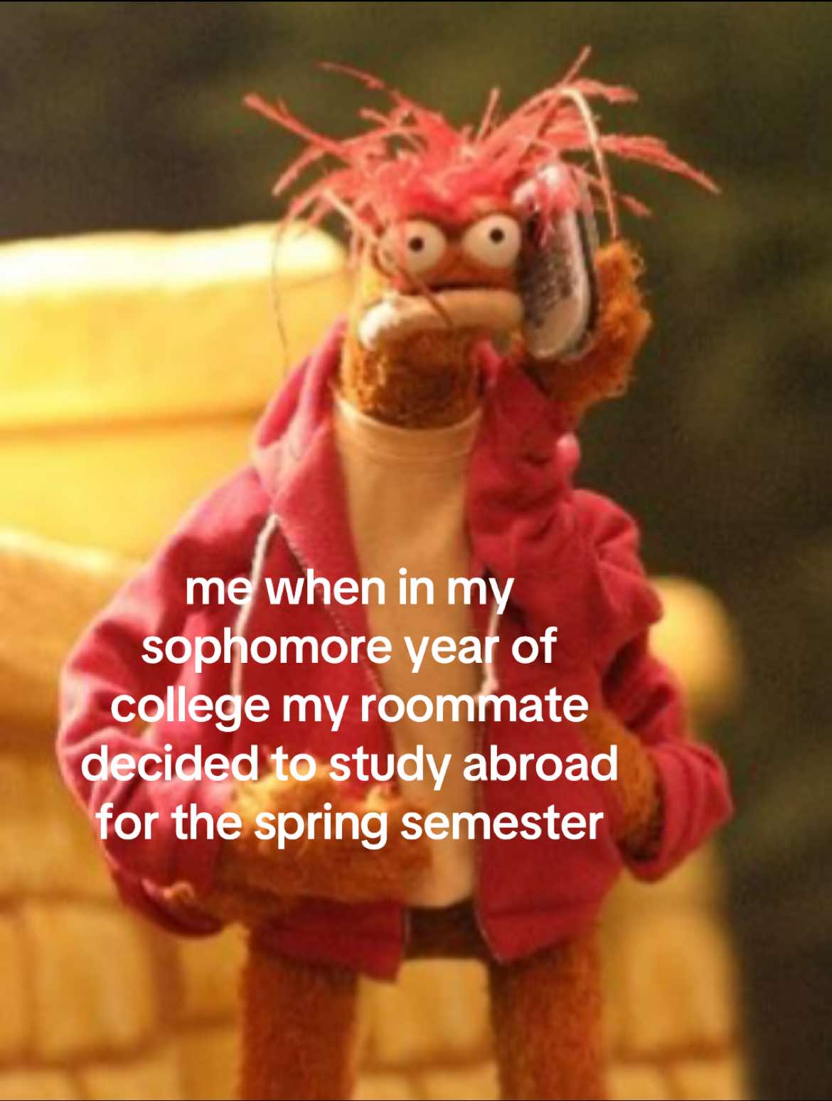 @maya