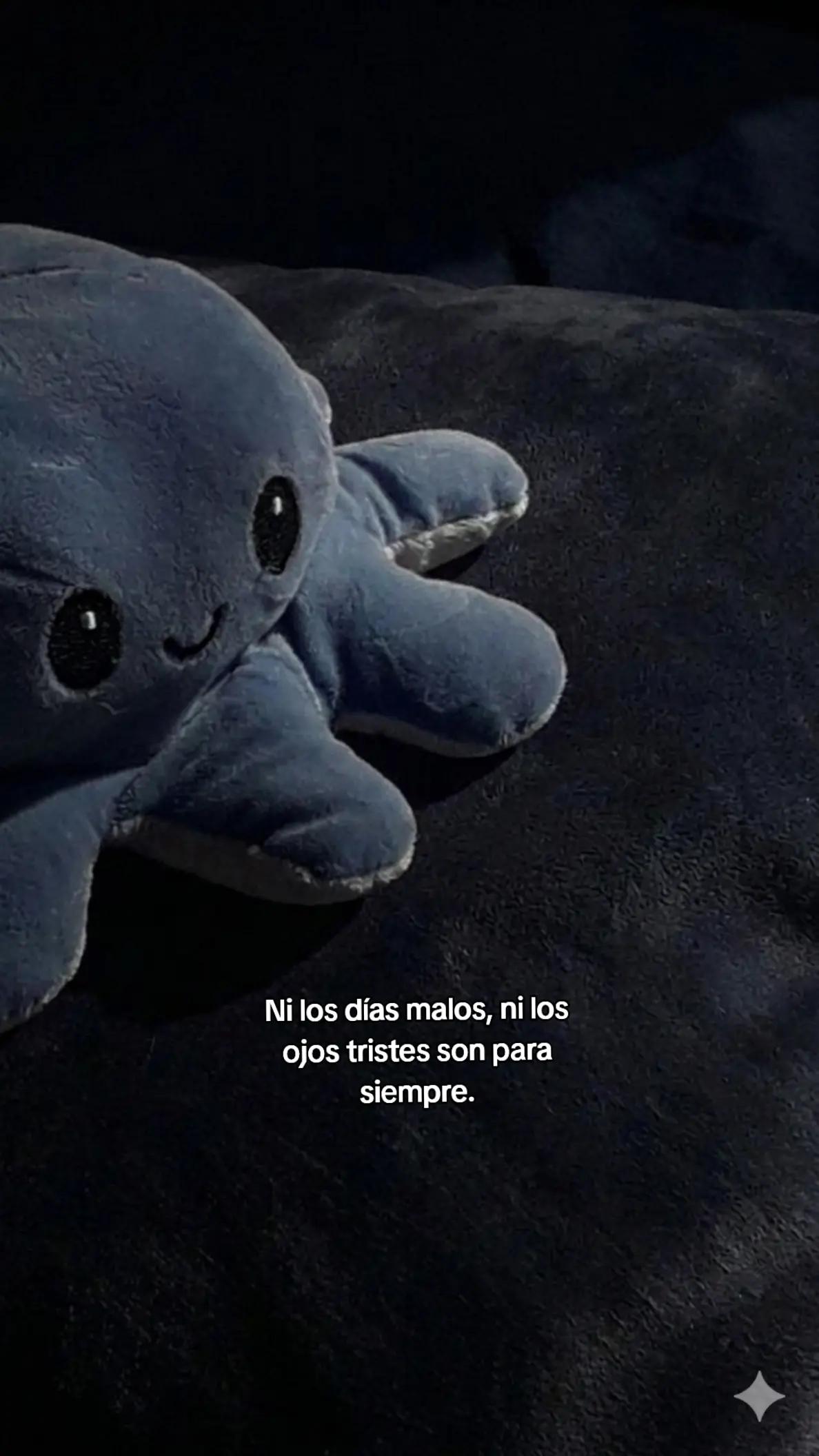 @ɪᴍᴘᴇʀꜰᴇᴄᴛᴏᴳᵀ࣪