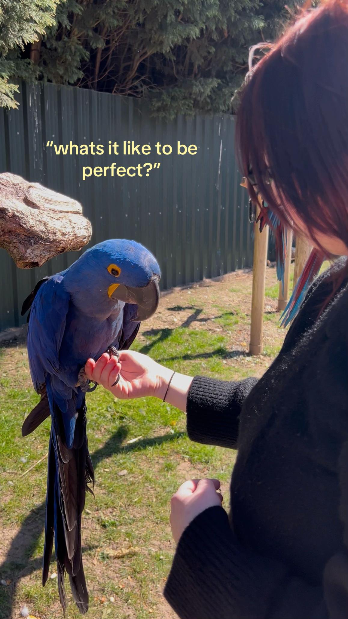 @ᯓ⤷ᴀɴɢᴇʟ✪.ᐟ
