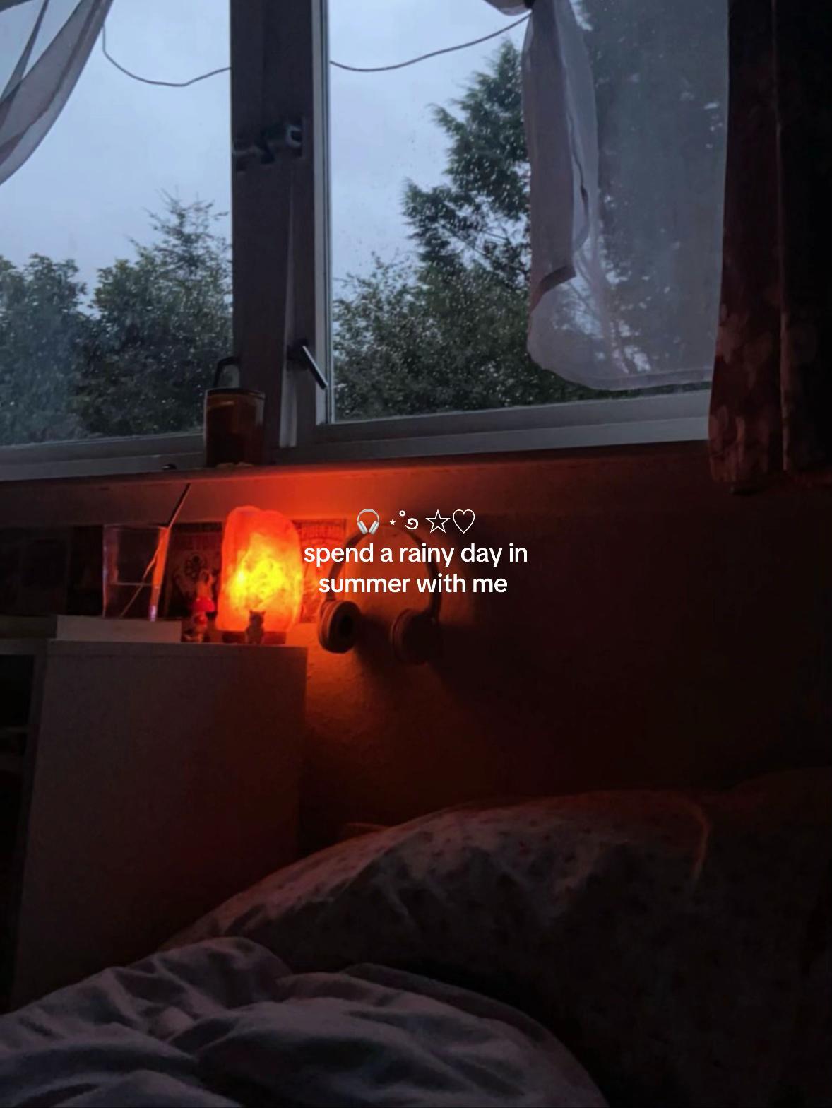 @𐙚⋆°🦢。⋆♡