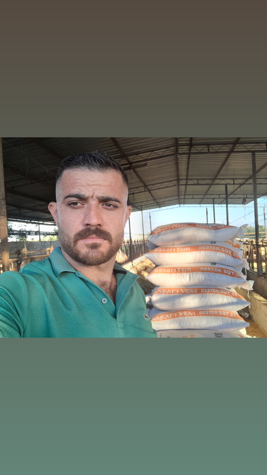 @Murat 3547