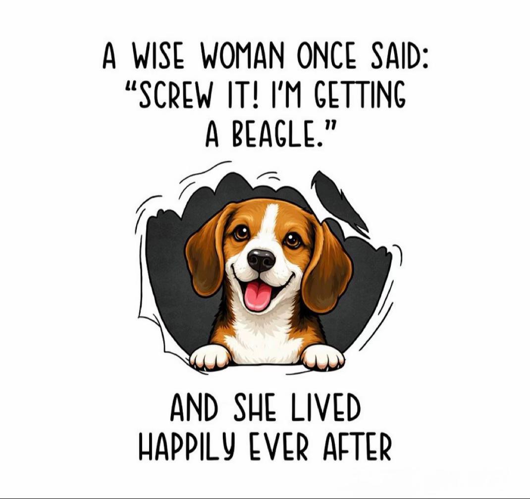 @Neo_The_Beagle