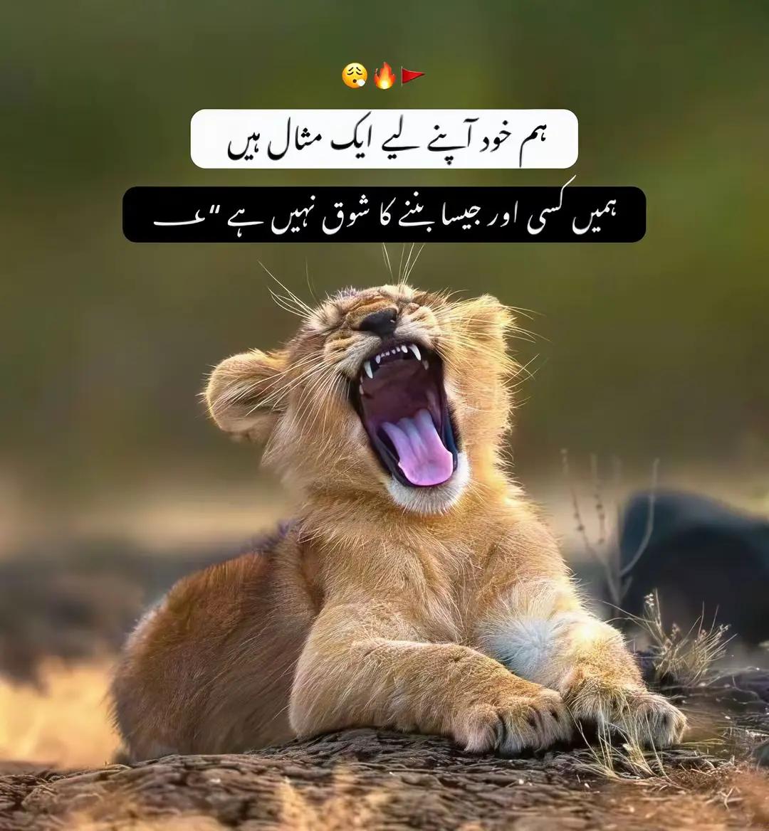 @⚔️عبدالرحمن مغل 🚭 💯
