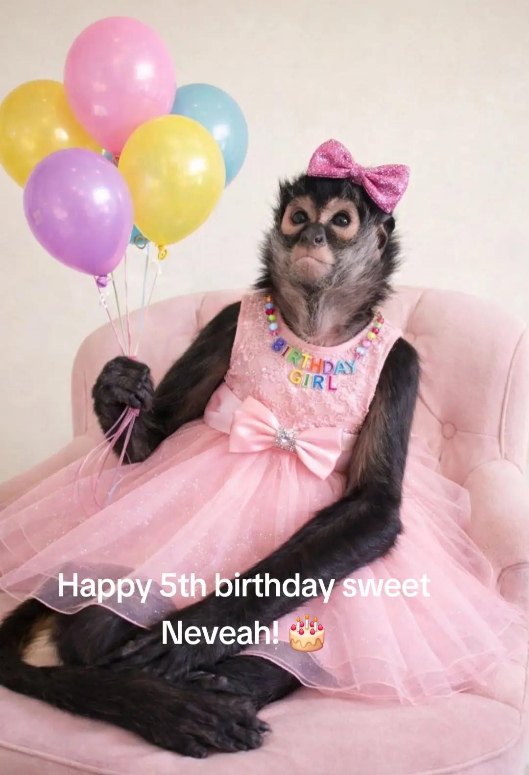@It's🐵Monkey🐵Time🐵