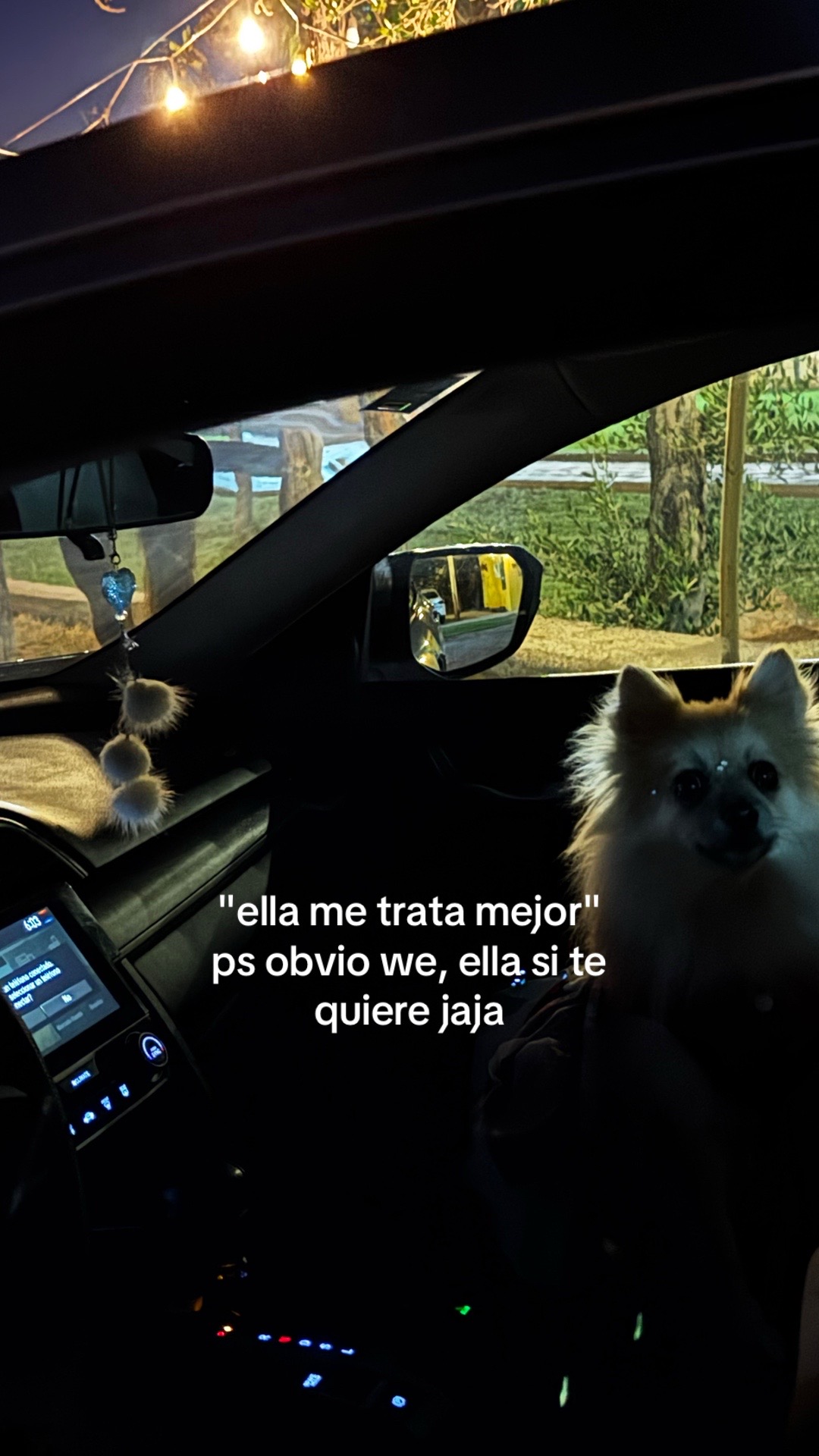 @izaf666._