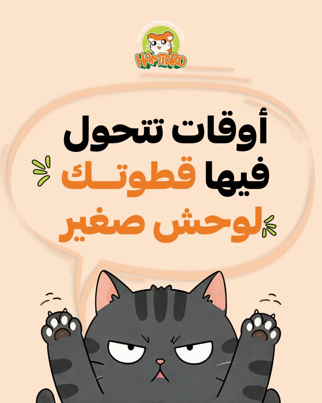 @hamtaro sa
