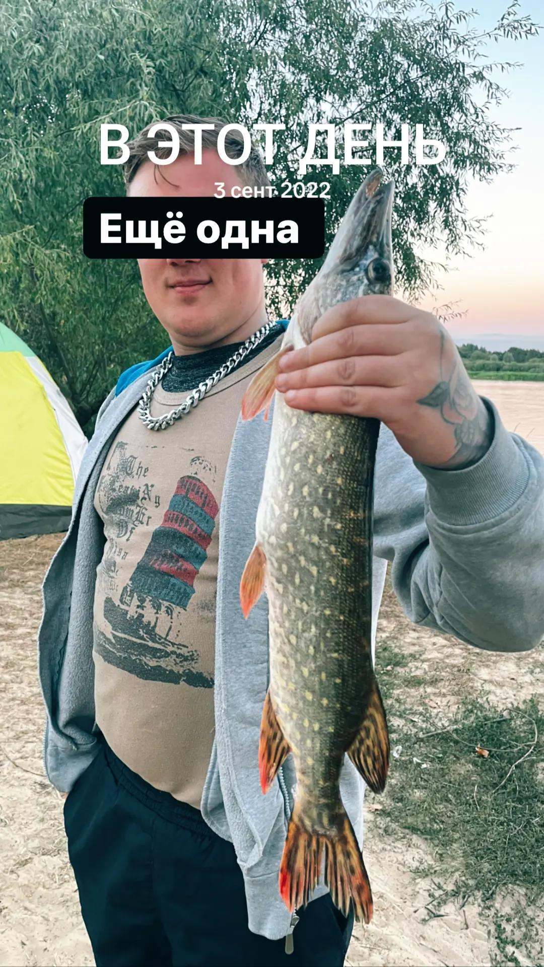 @༼ つ ◕_◕ ༽つ🇧🇾༒𝕂oT𝕚k༒🇧🇾