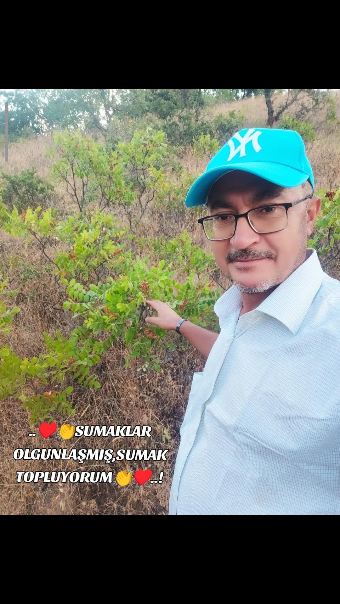 @Mehmet Özer