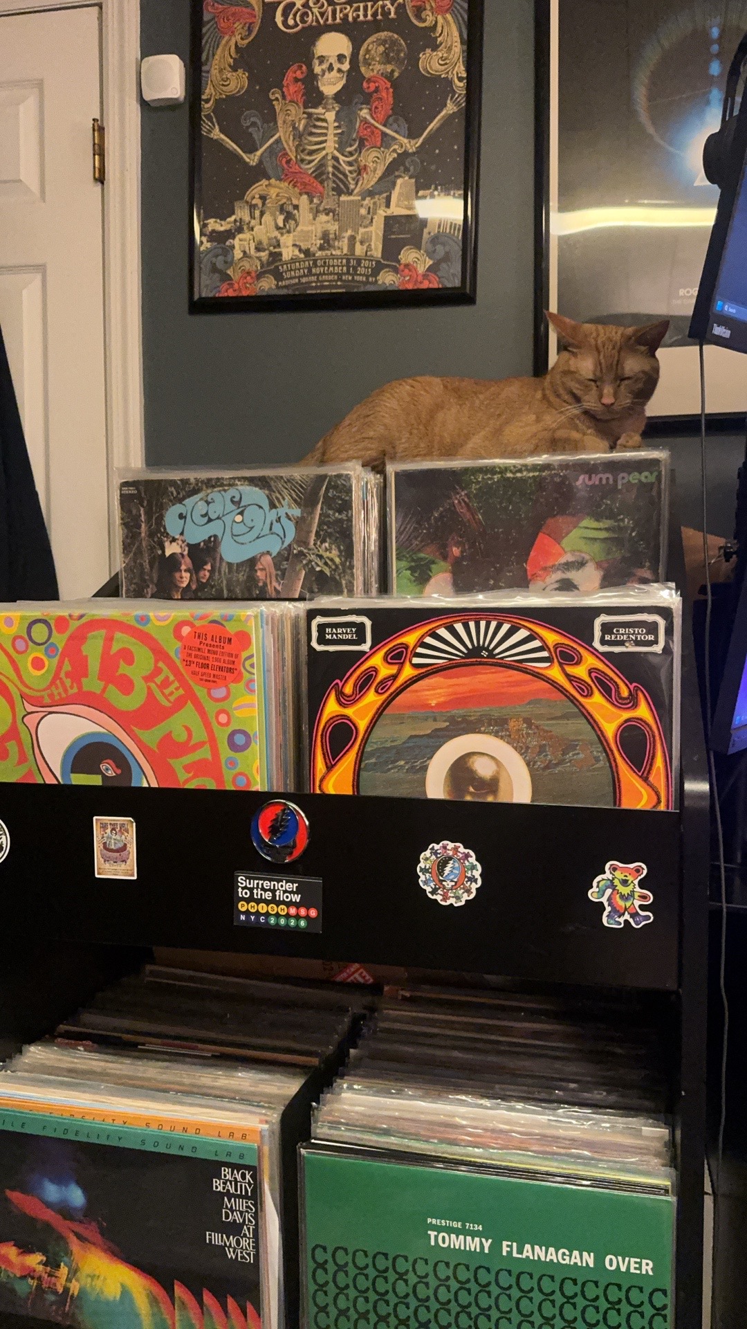 @Lou’s Vinyl Grooves