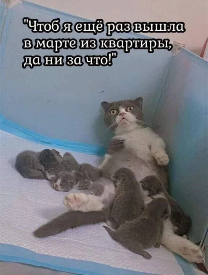 @КОМАРИХА