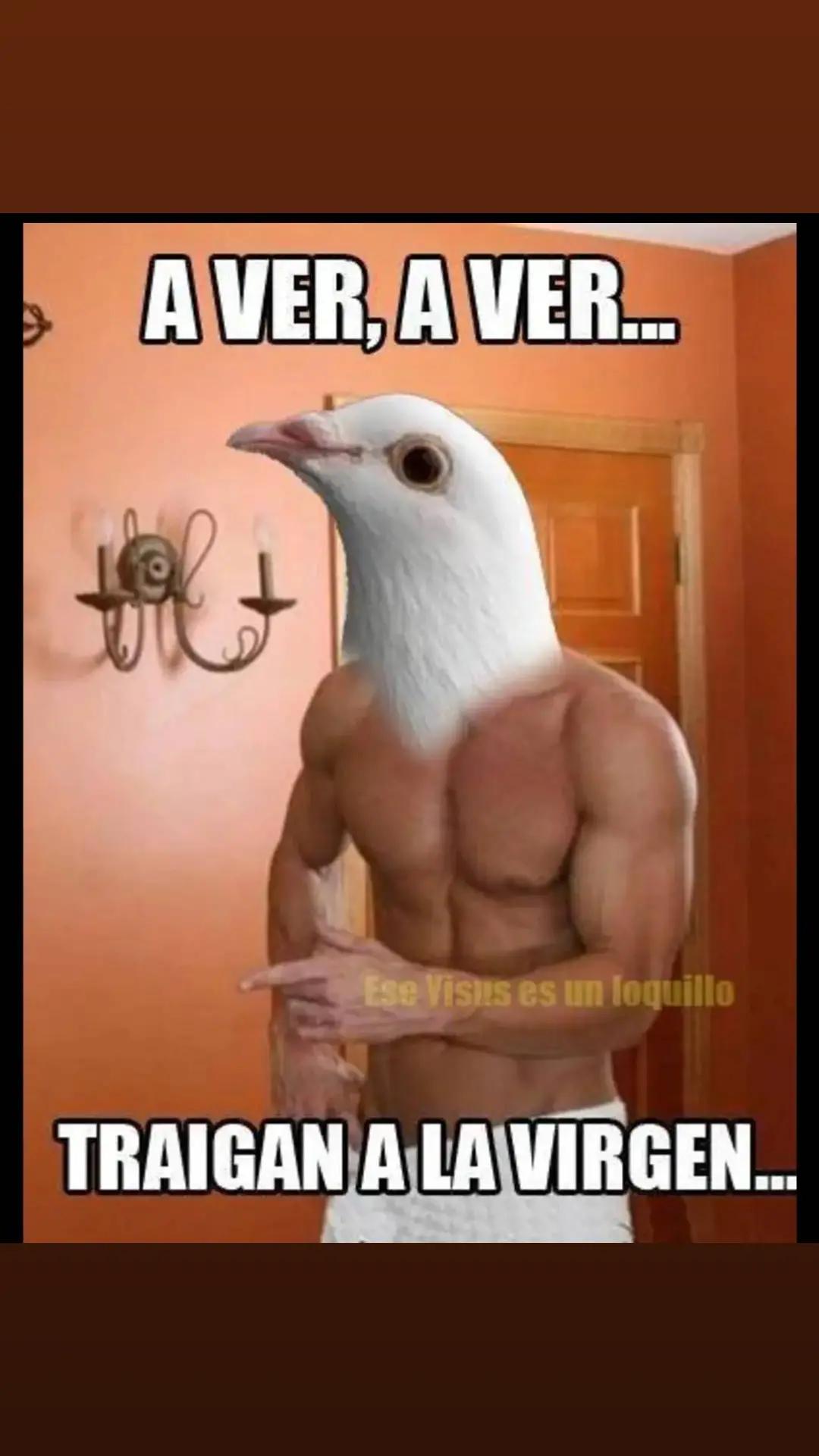 @Sebastián gruten