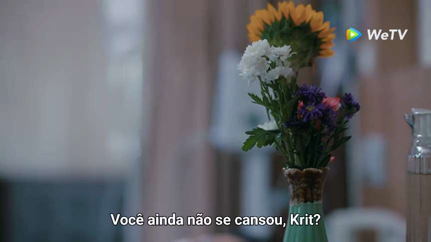 @Lini 🦋