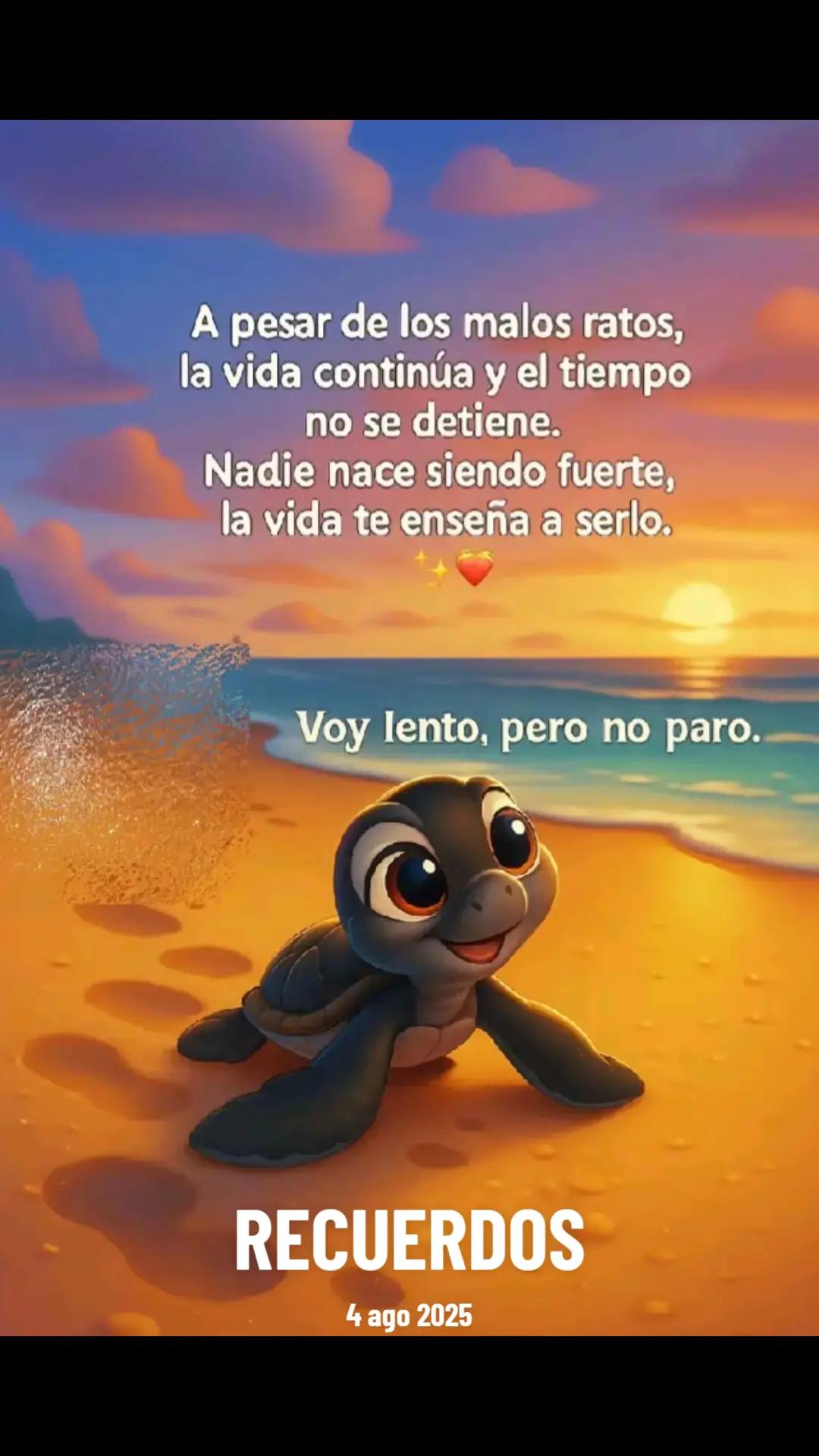 @Pao 🌻🍀