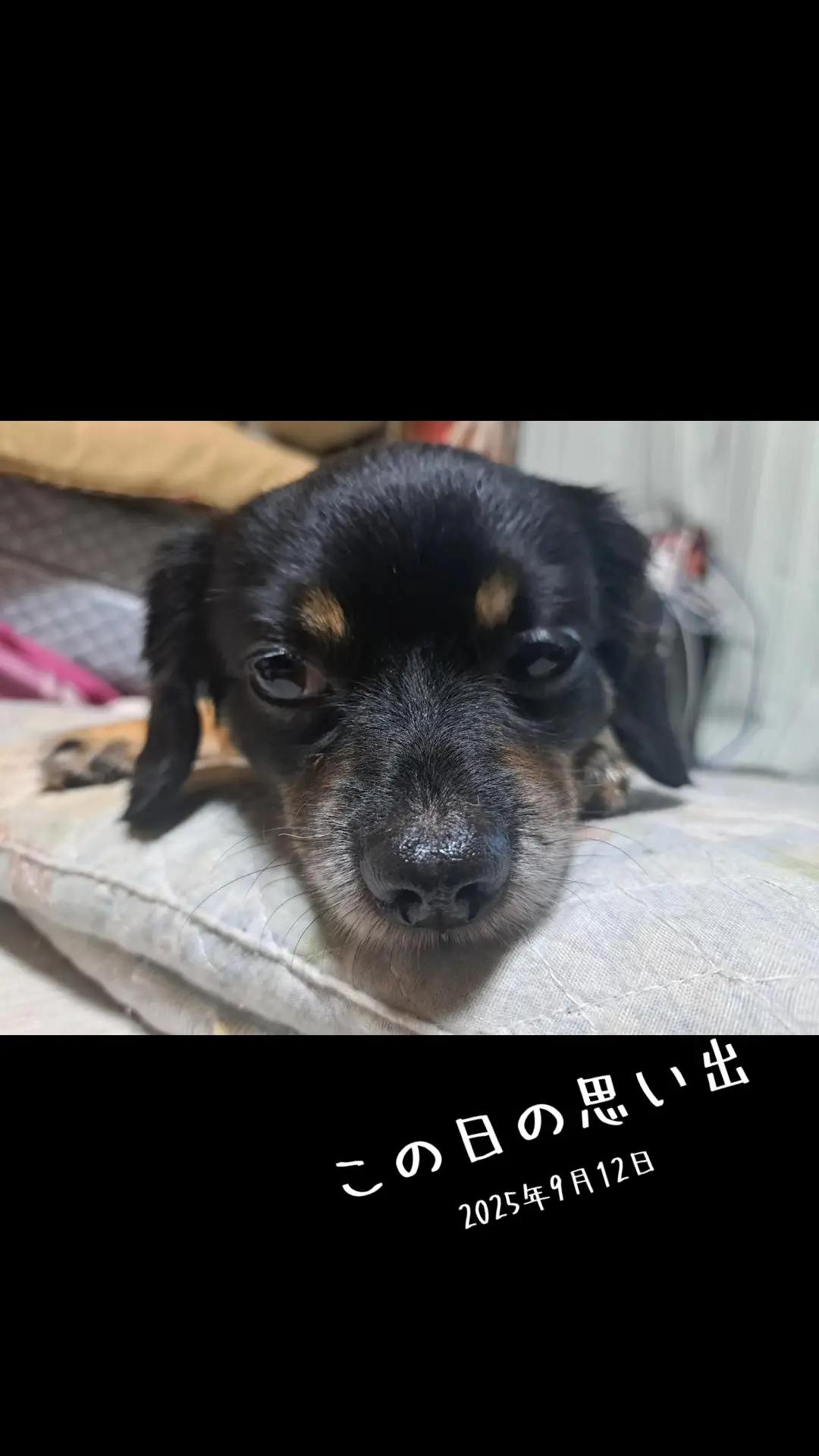 @タケヤッコ