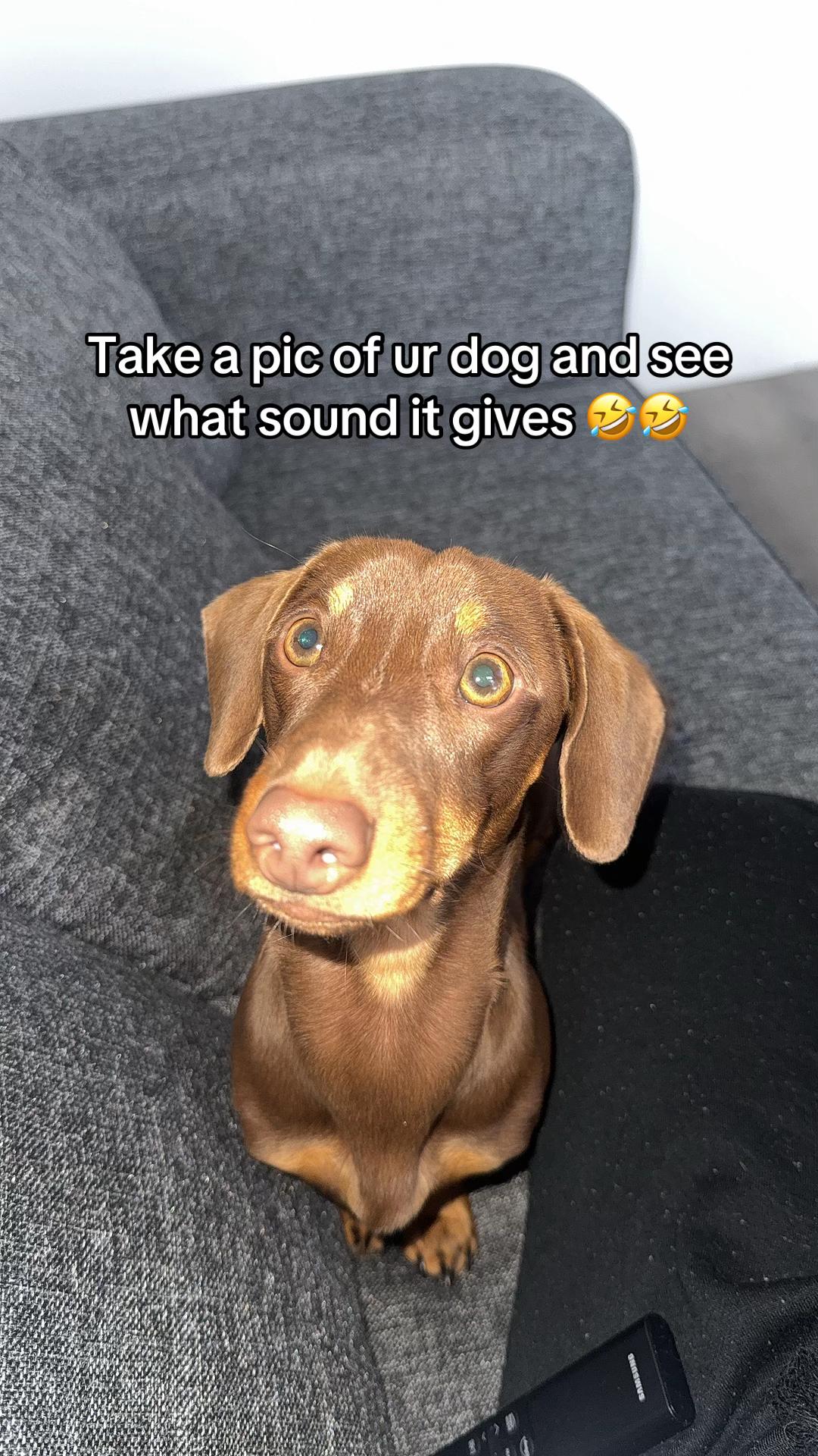 @luvlenny