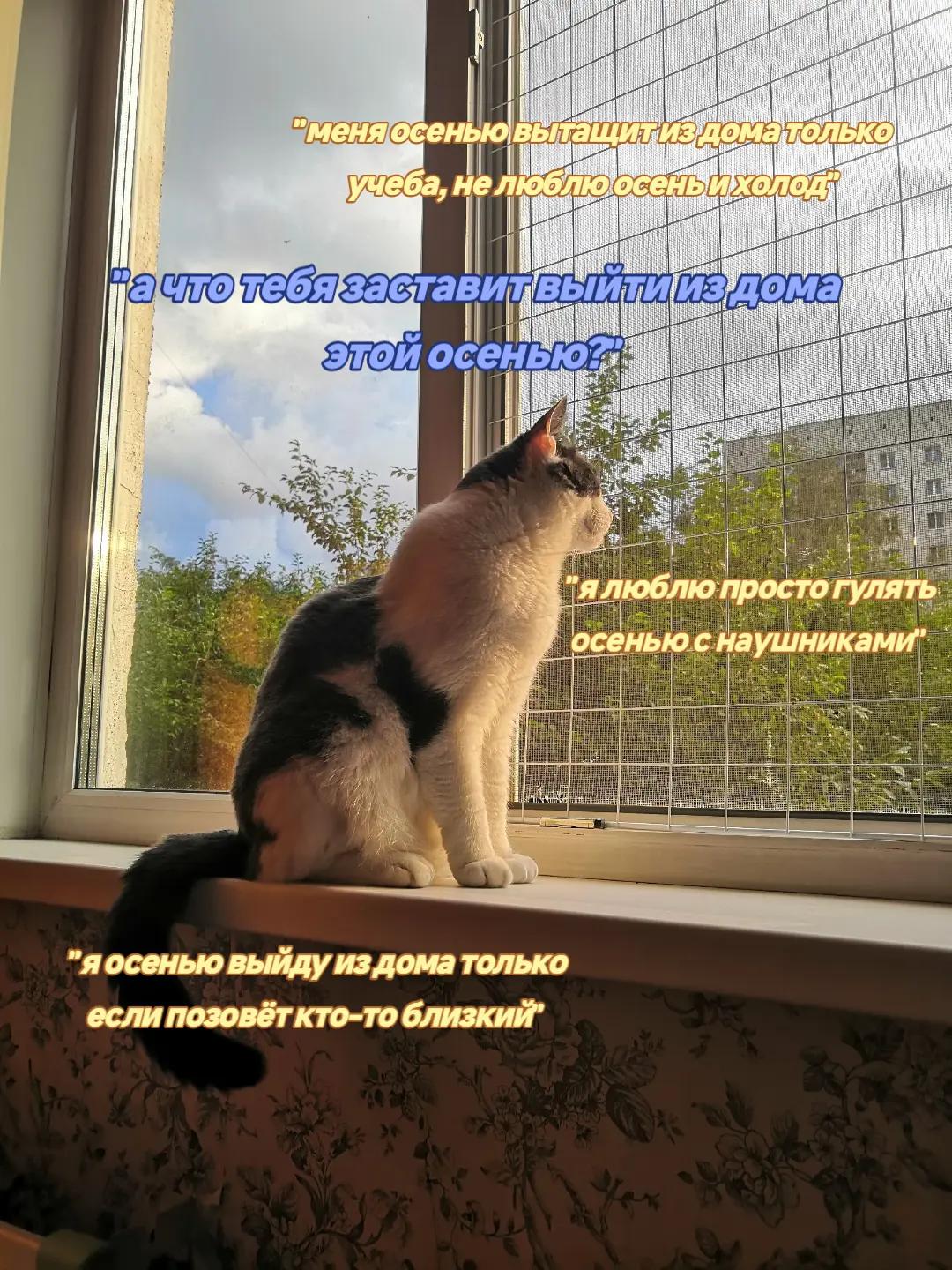 @позорница энка(?)