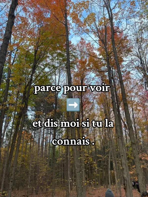 @motivation l'inspireur