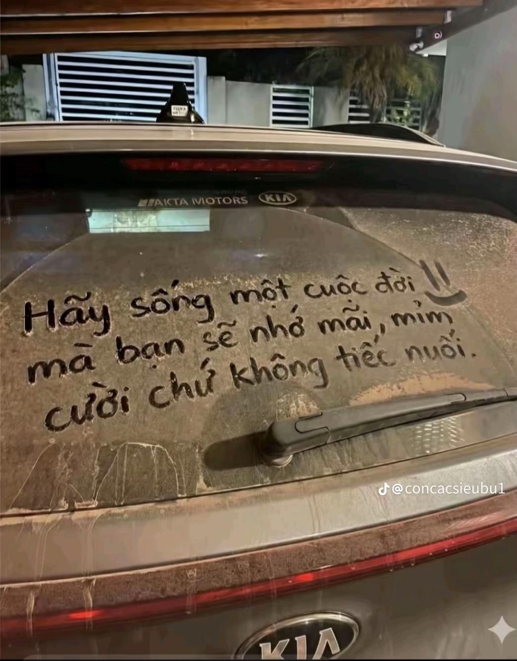 @Triều bá khí