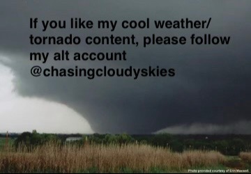 @dinofartsdaily1234