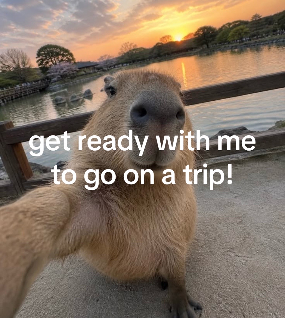 @chilllcapy