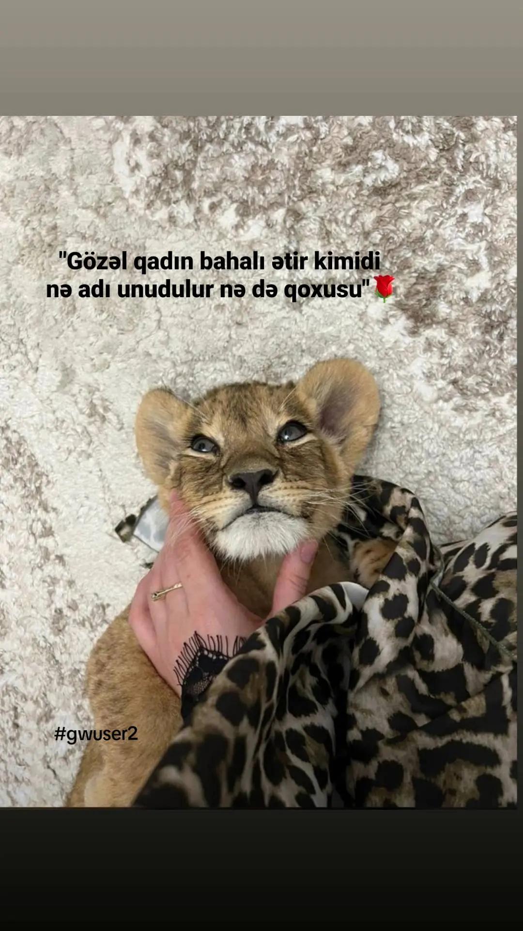 @🇦🇿