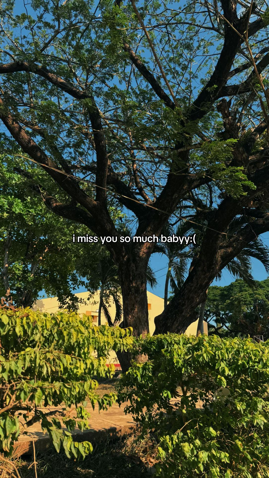@BLAKE
