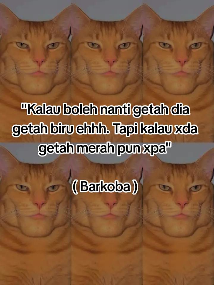 @HykalSazer01