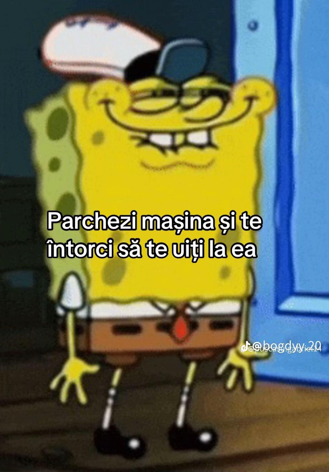 @Alex🦈