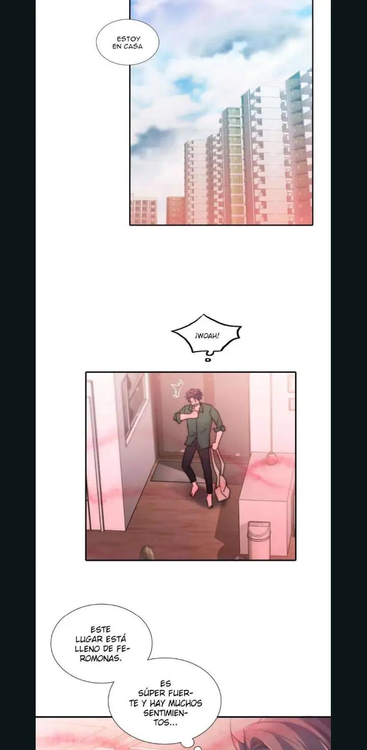 @ORION OMEGA