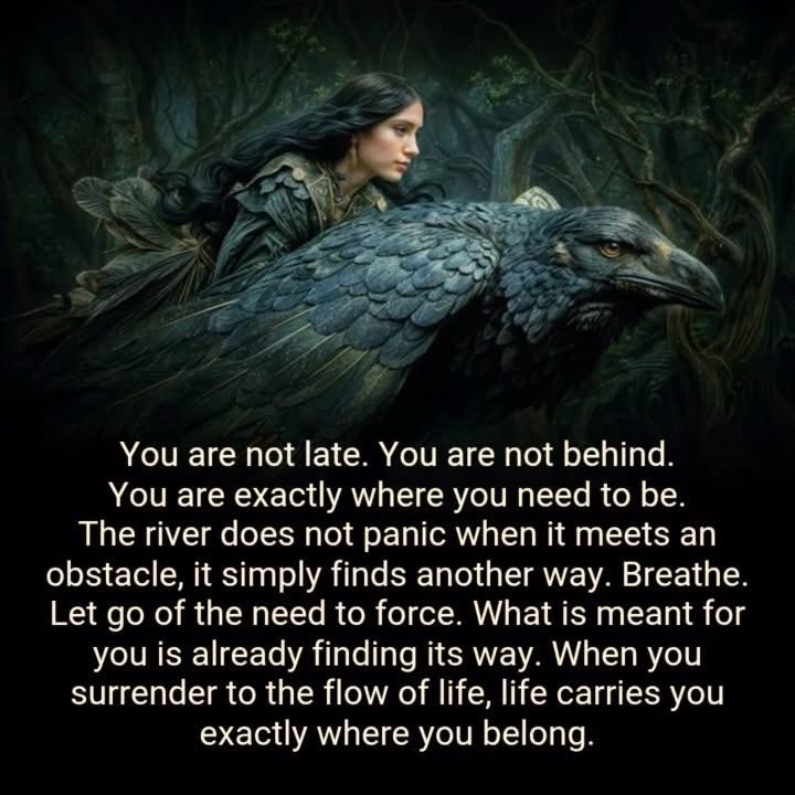 @Elsa Mendoza-Author