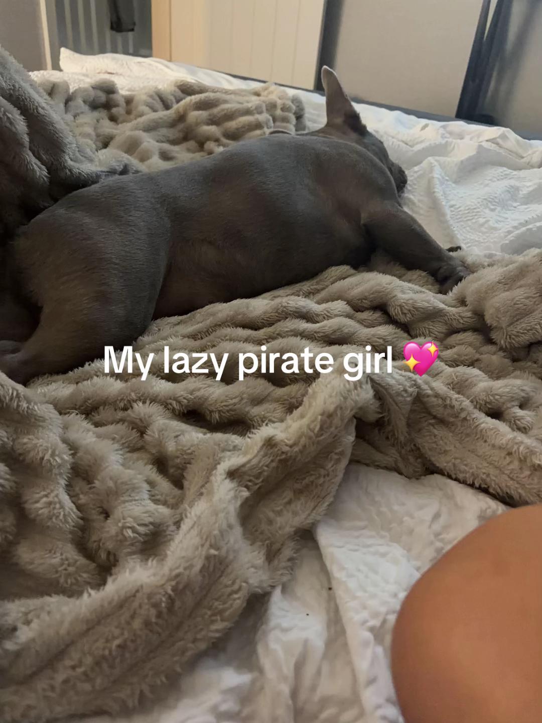 @Ali
