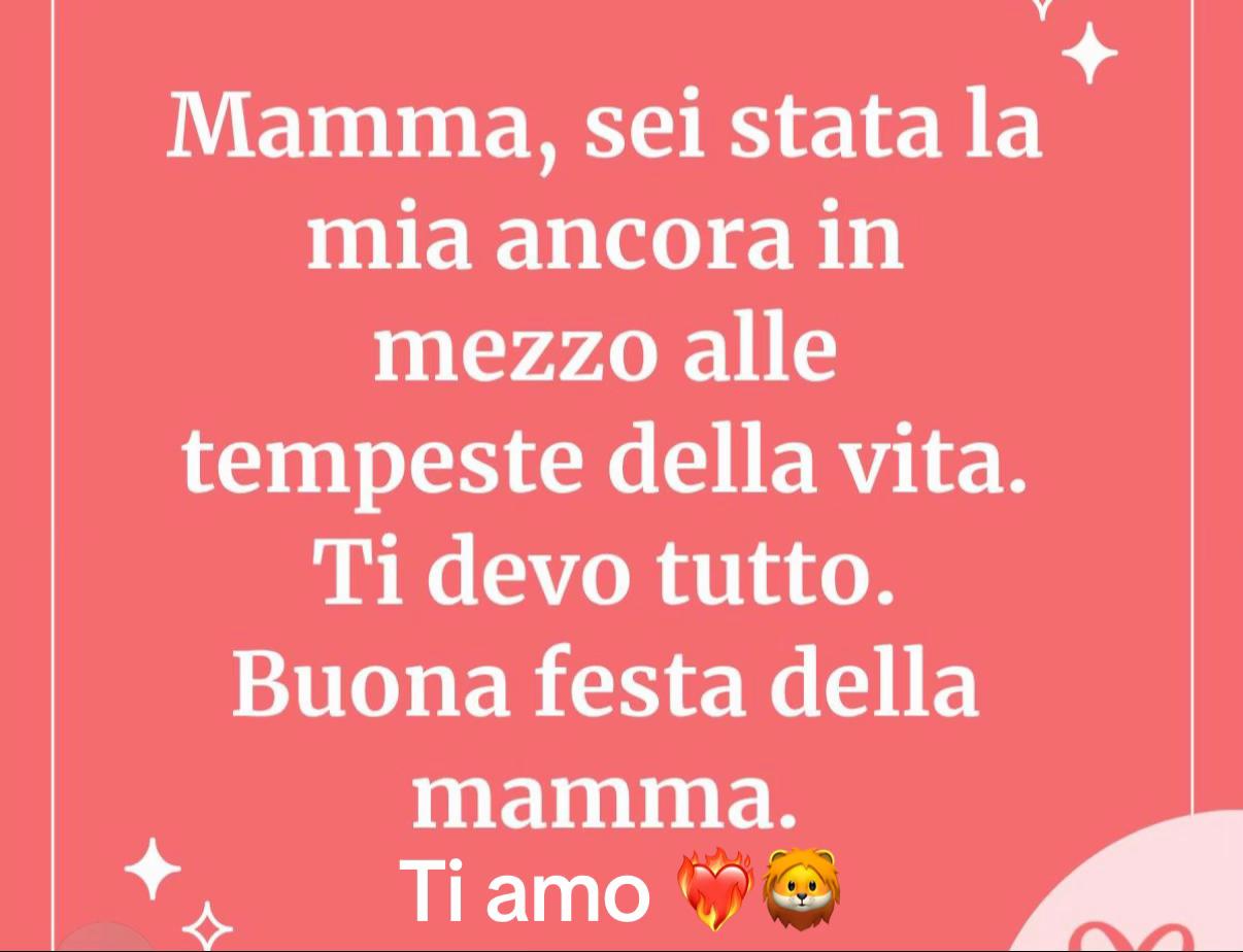 @sharonbarbaro
