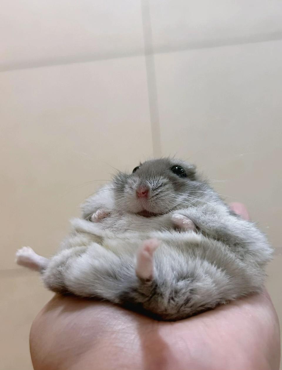 @𝒆𝒍𝒍𝒂✨