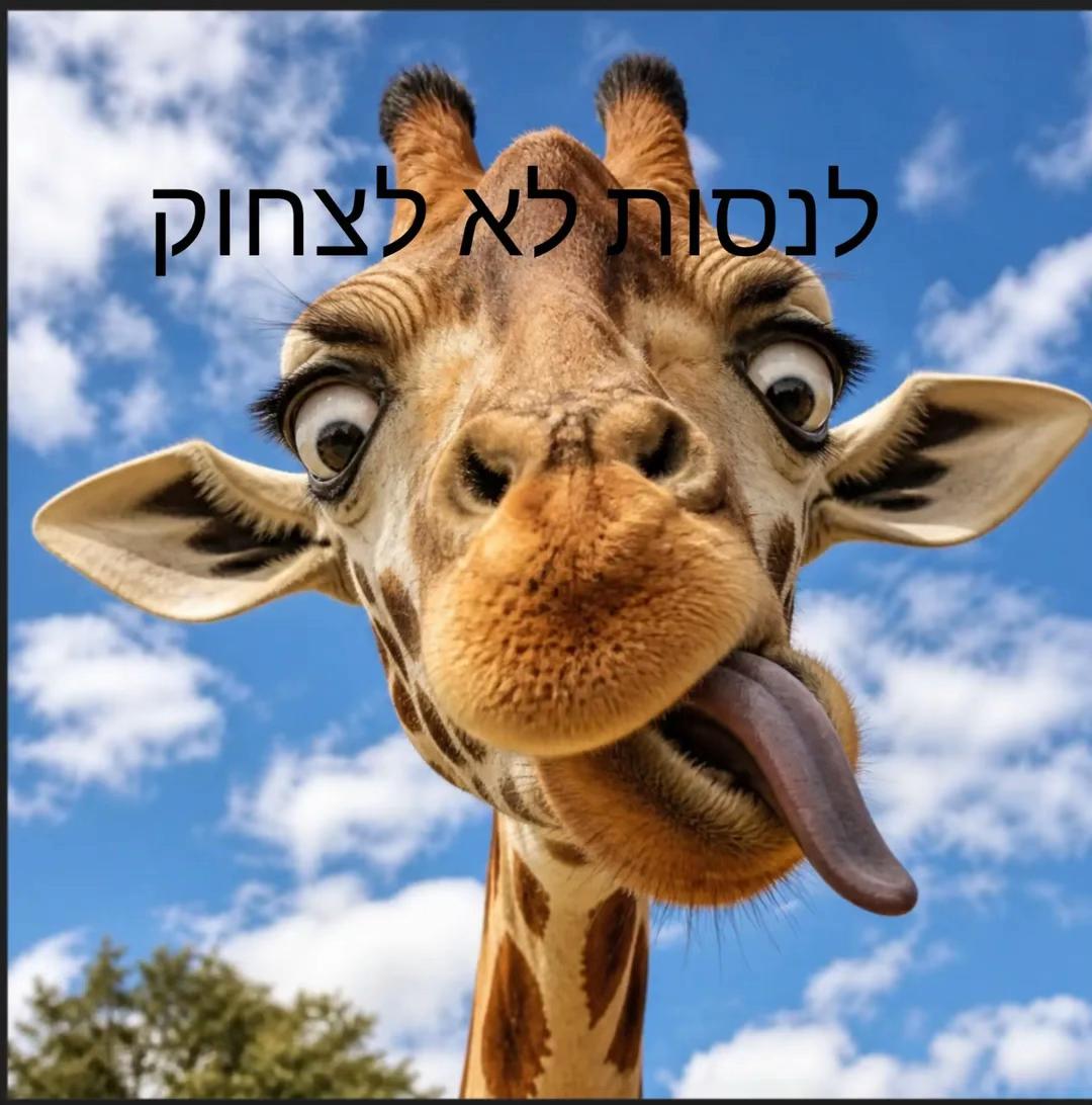 @תהל👌🍎😍❤️