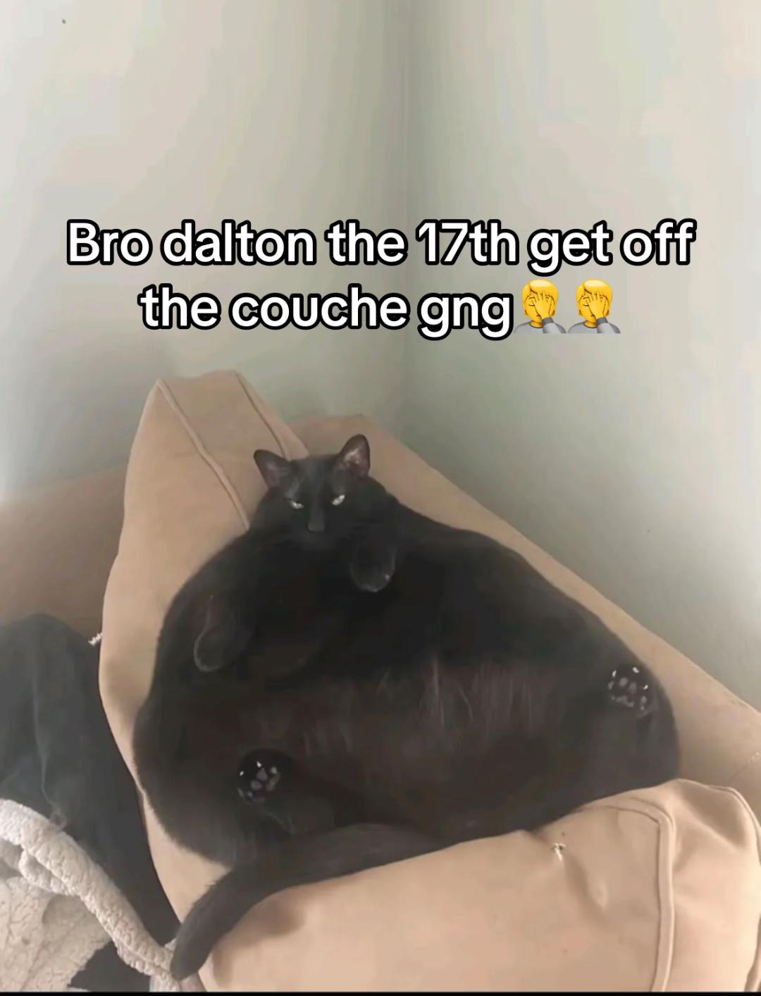 @klawhqqz