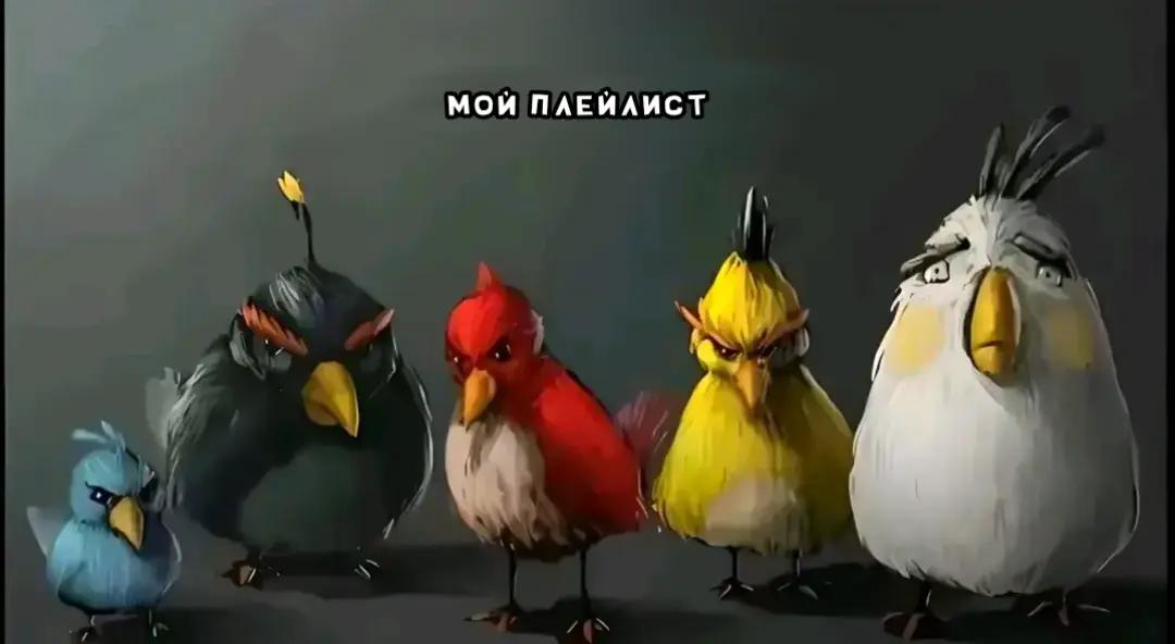 @⊹ ࣪˖ʀ∆ʟsᴇɪ𖦹 ׂ𓈒|ʙᴜɴɴʏ CEO🧡🩵