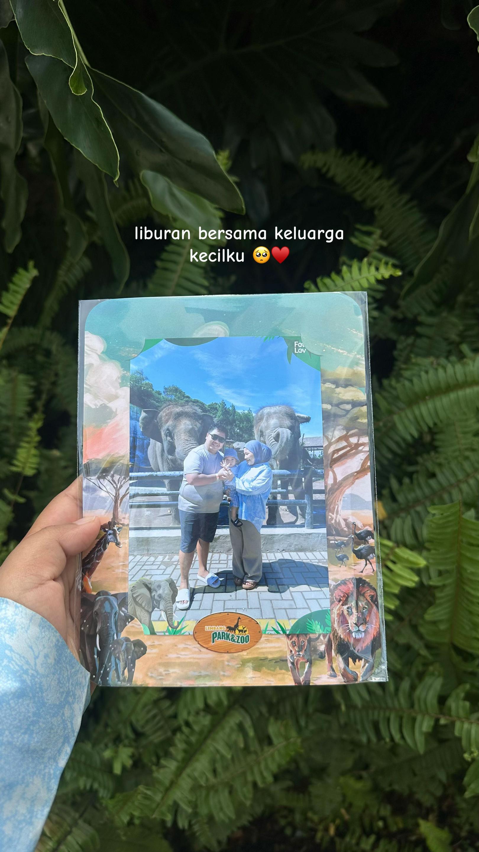 @Mucia.au