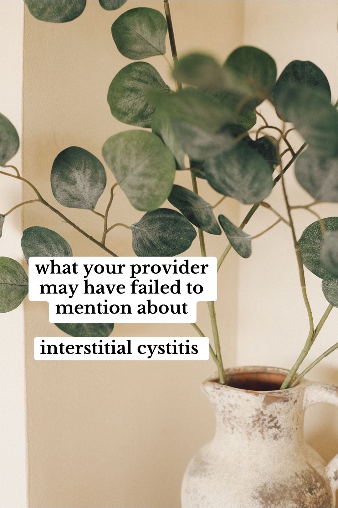 @Sabrina, Pelvic PT + Doula