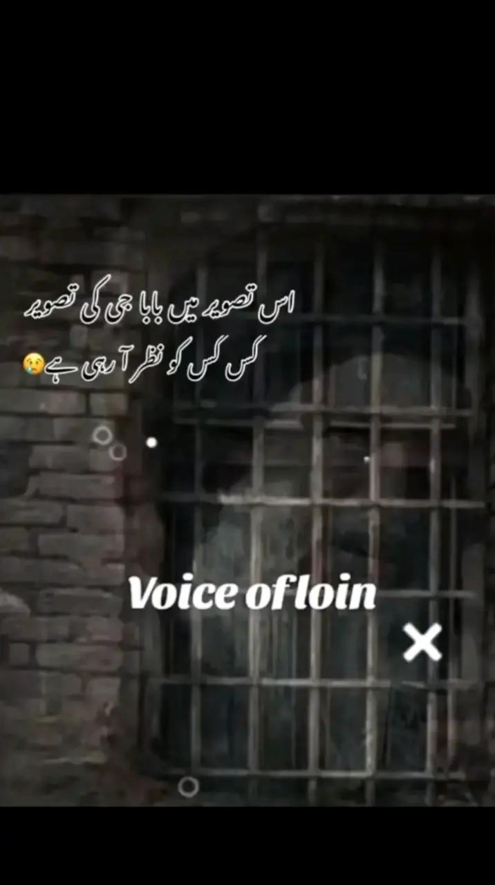 @گوندل بادشاہ 🌹