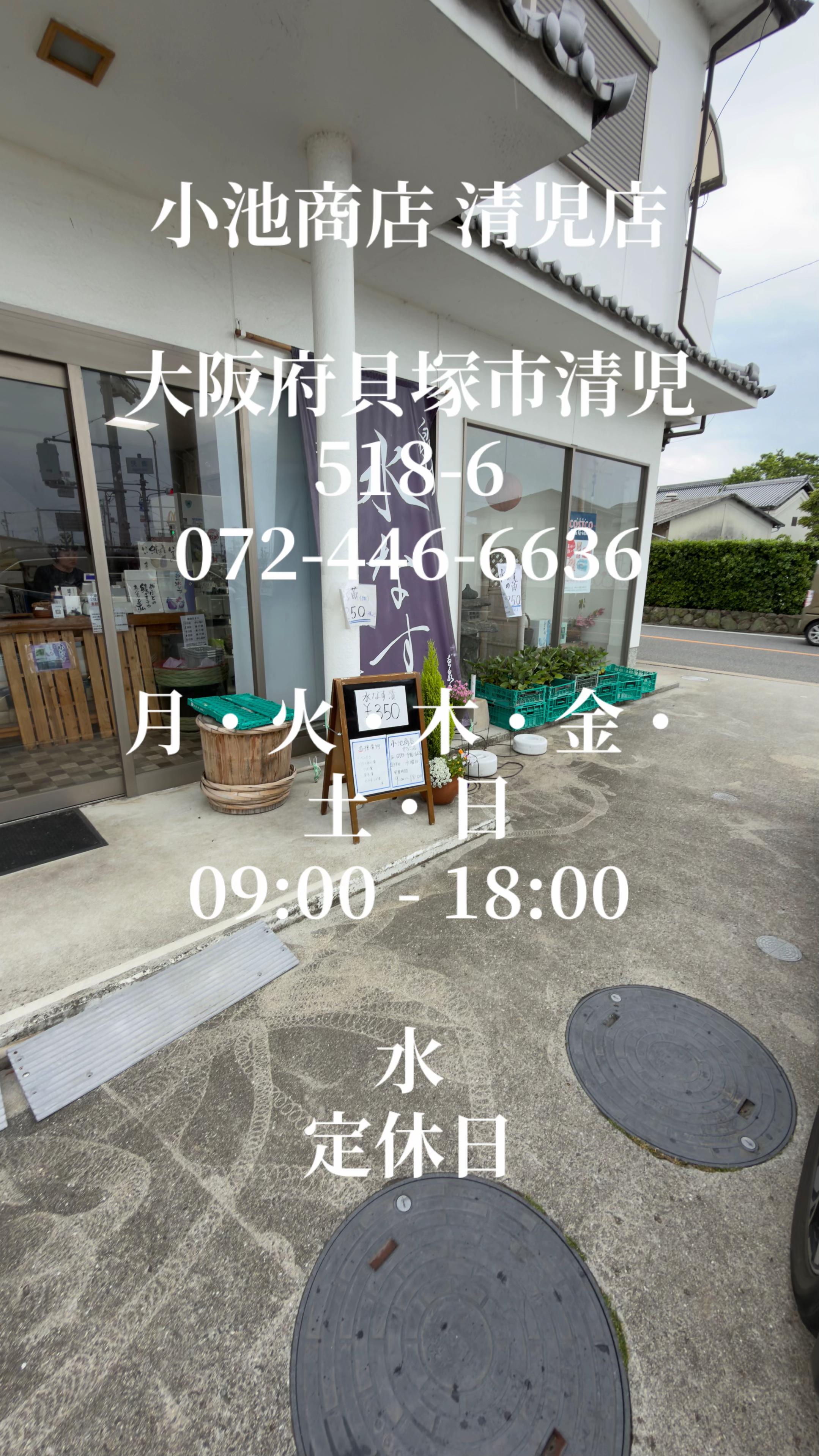 @達磨寅次郎