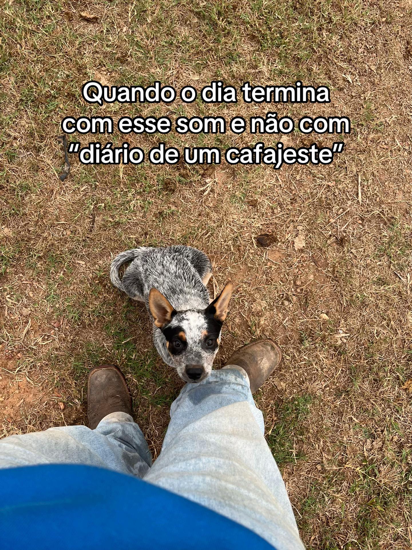 @Dudu Nunes!!