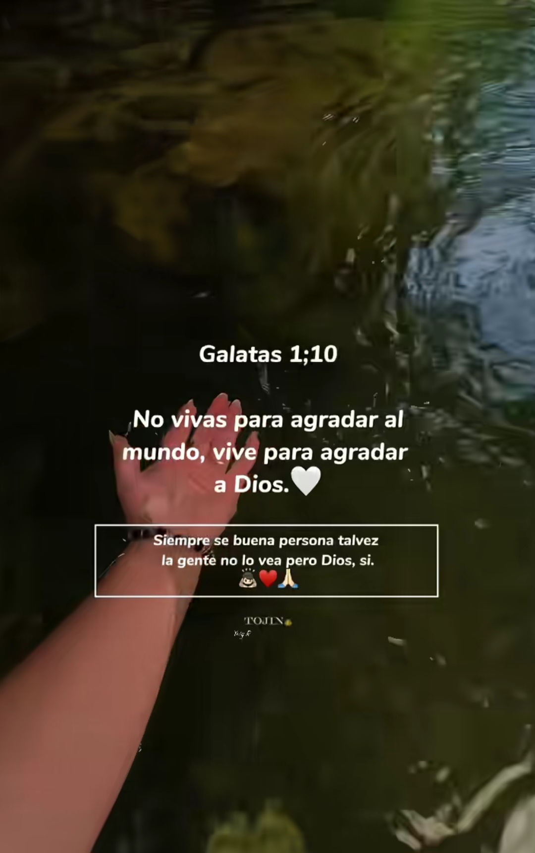@Irma Bustamante