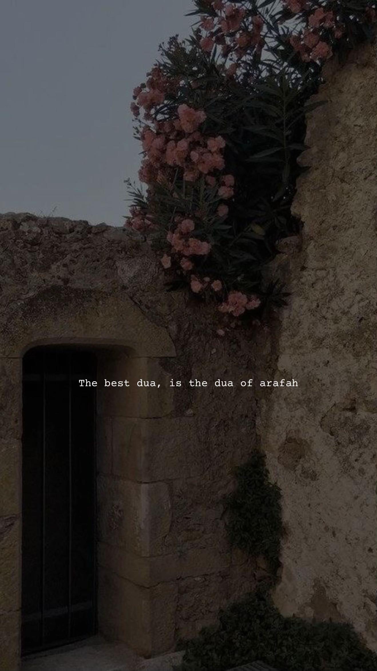 @🫶🏼