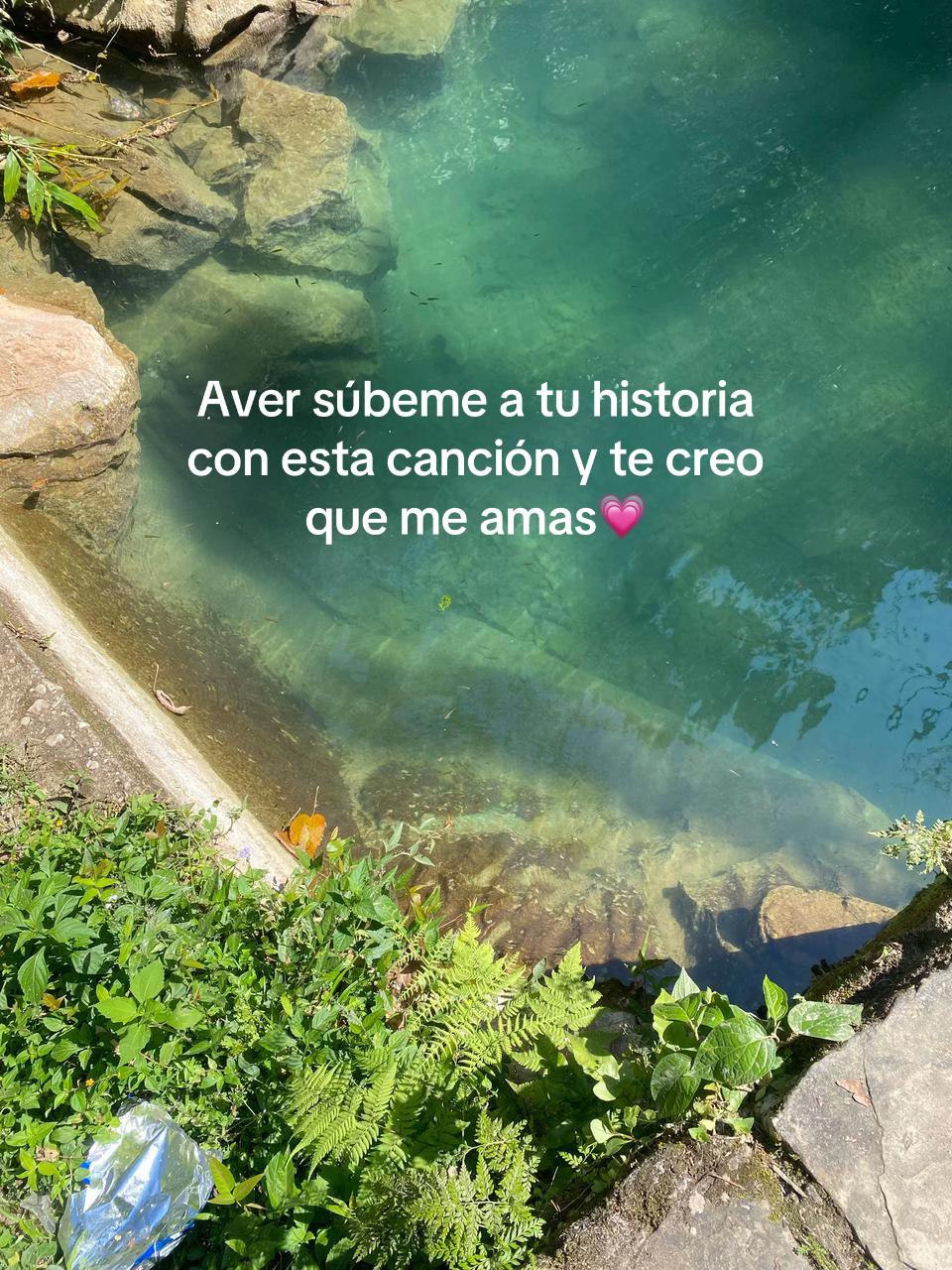 @Tus compartidos😀