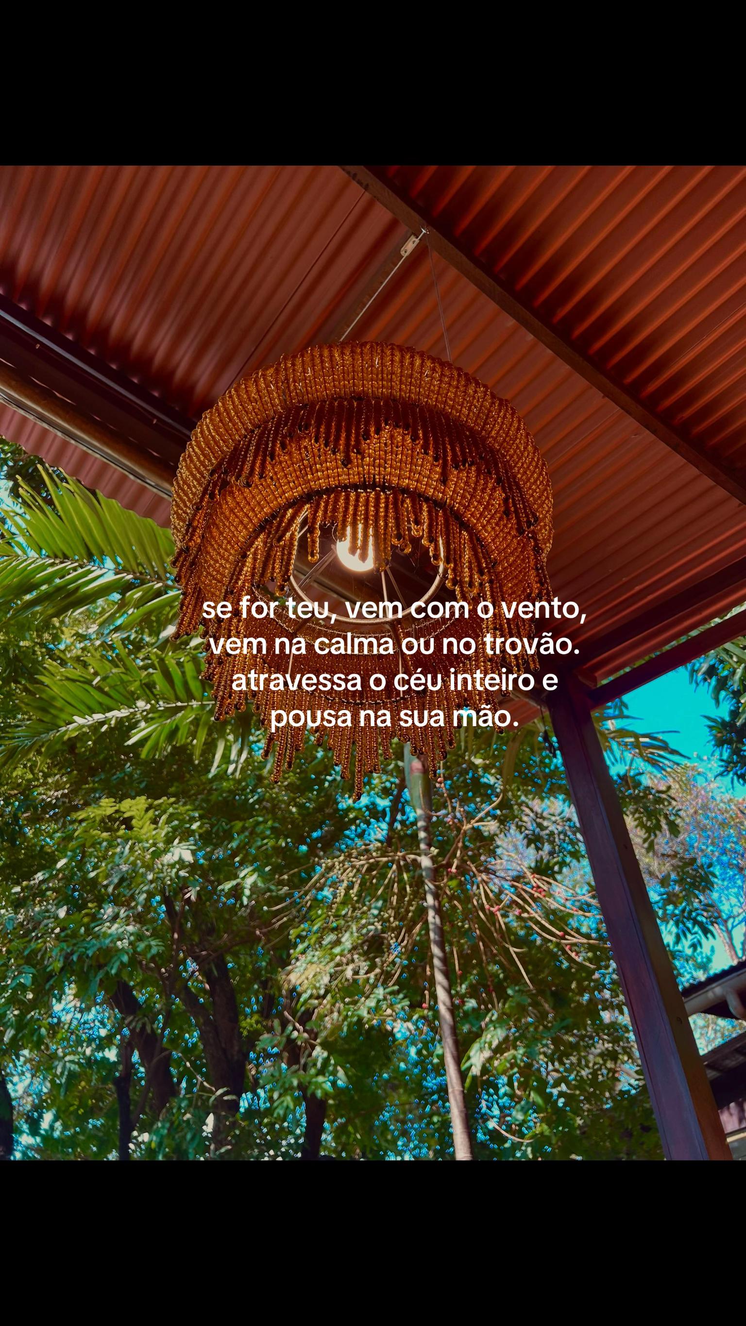 @Paloma