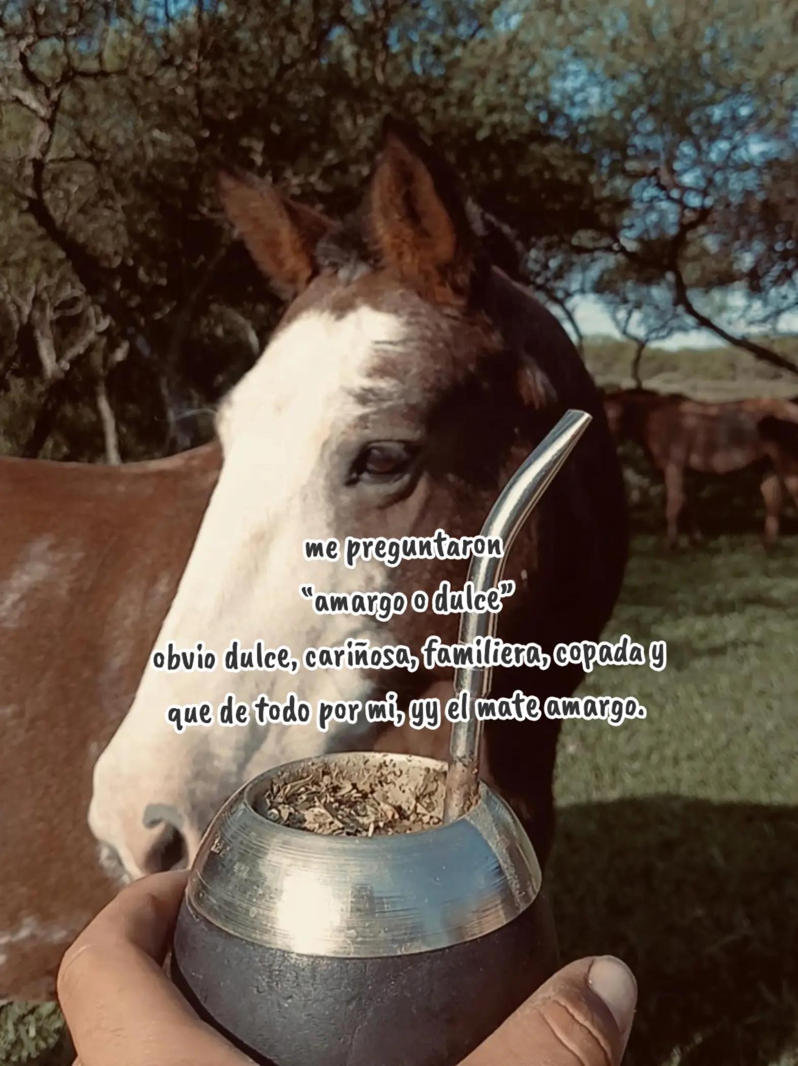 @LeandroPortelaOk