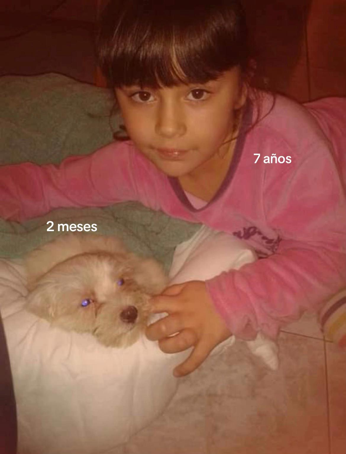 @Ingrid