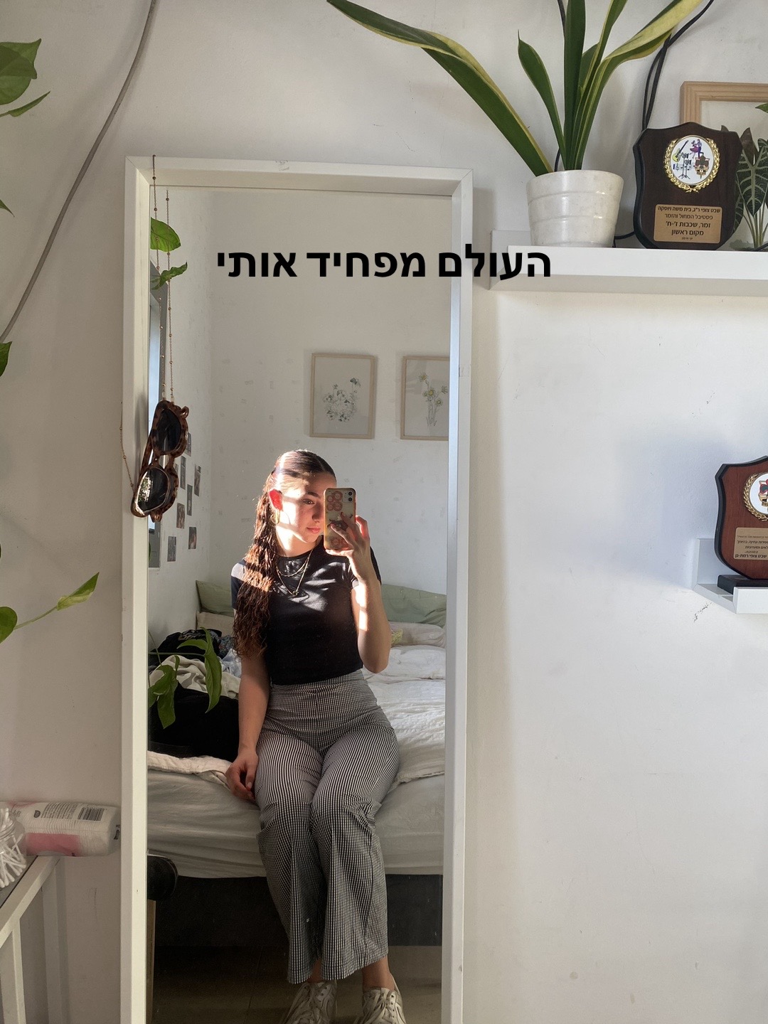 @Shirasternn