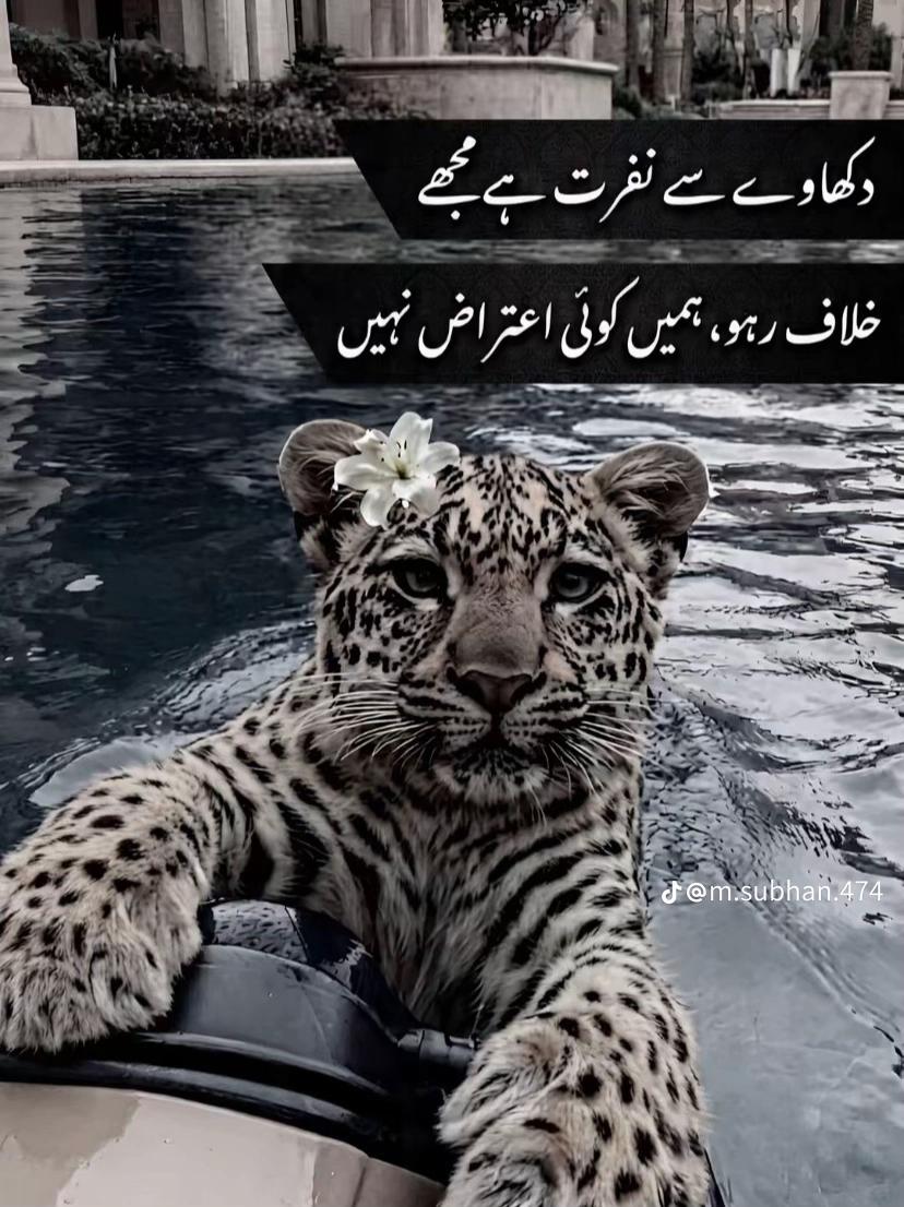 @Numan Sagar Malik